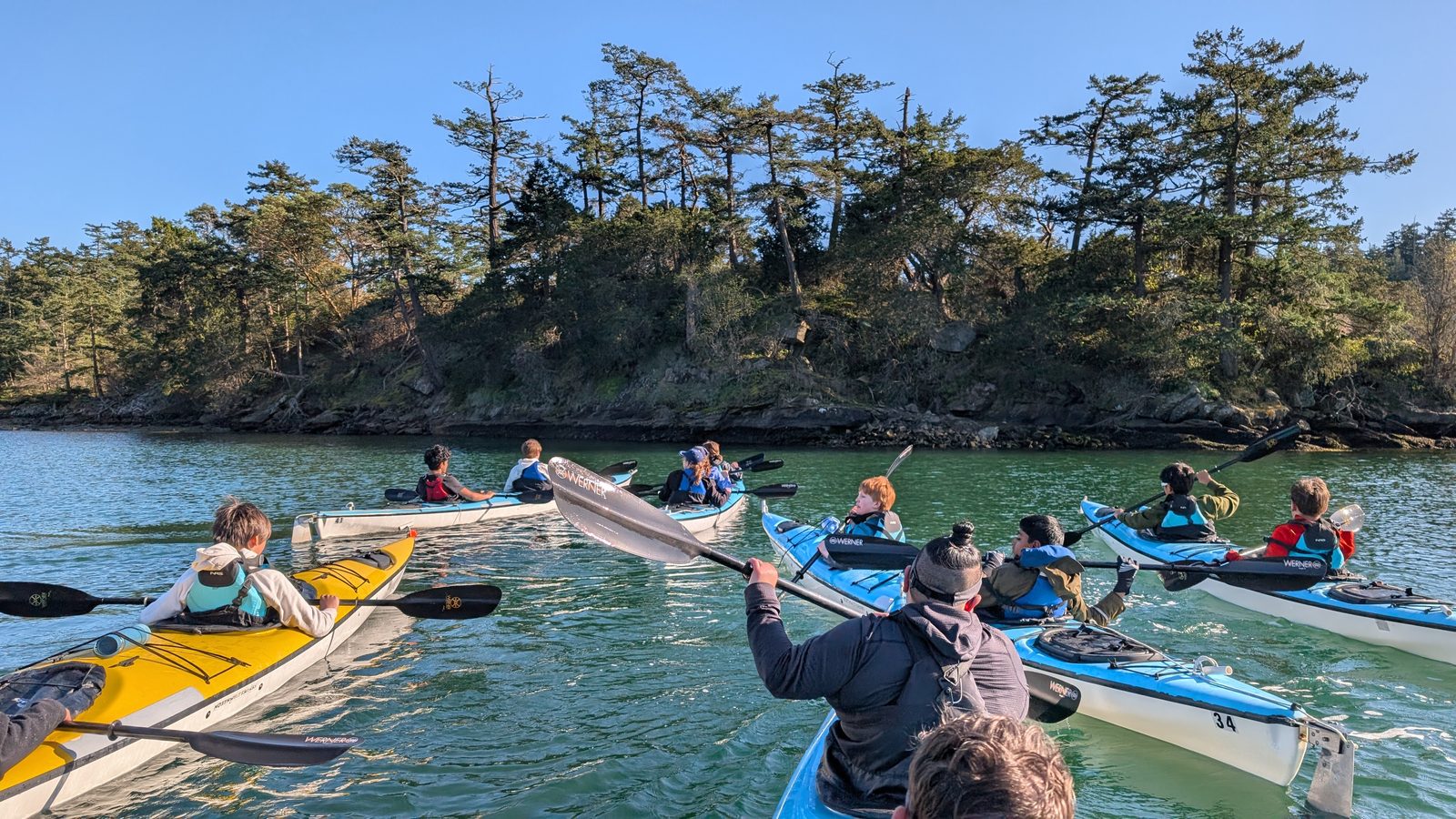 Students kayaking together past a forested island