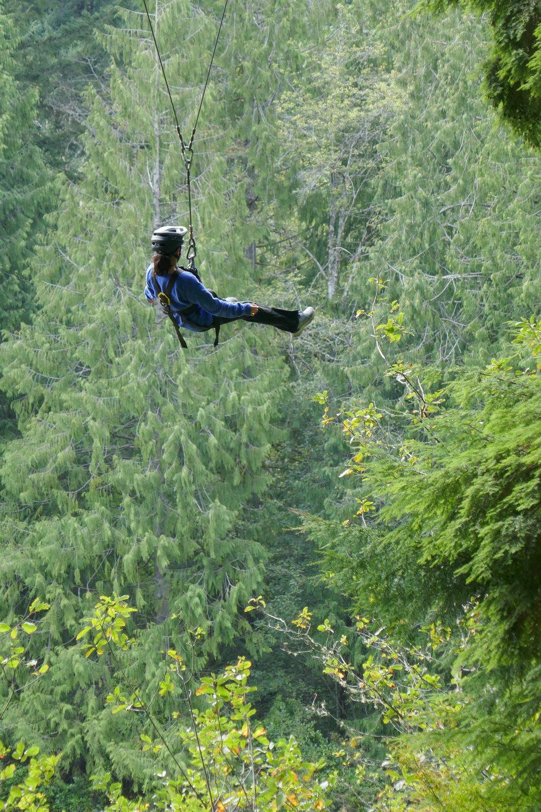 A student ziplining through the trees at camp