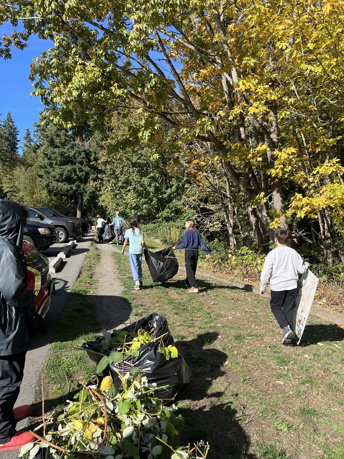 Students removing invasive plants during a stewardship project