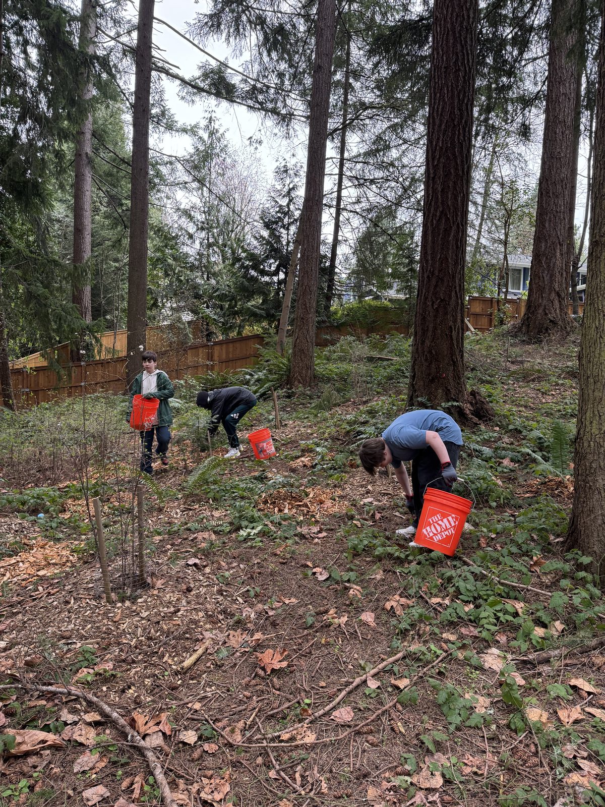Students planting in a wooded restoration area