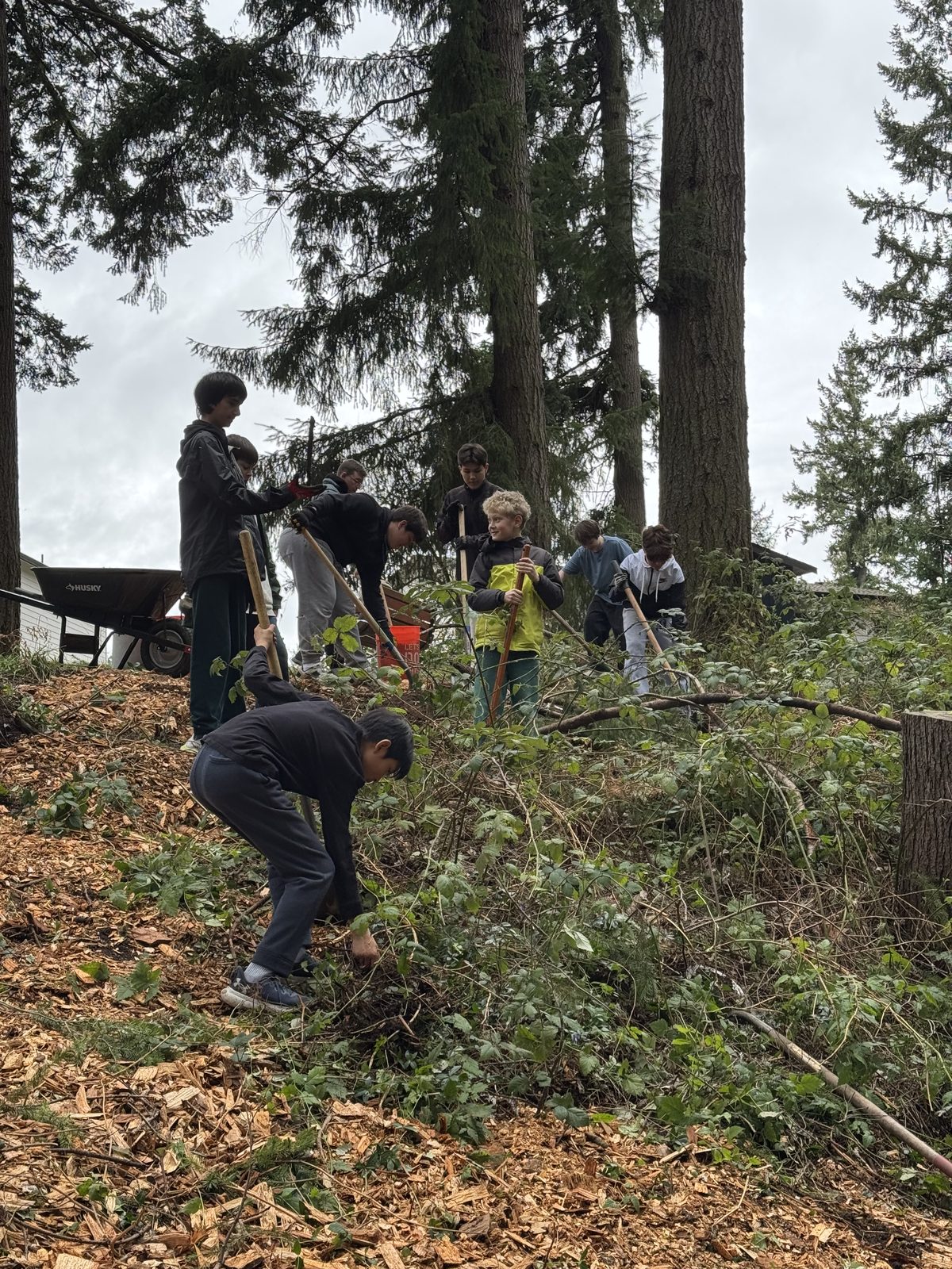 Students clearing brush on a community stewardship day